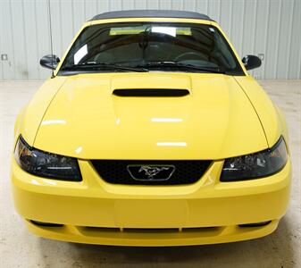 2002 Ford Mustang GT Premium - Photo 14 - Sylvania, OH 43560