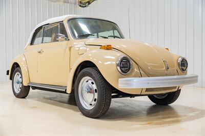 1976 Volkswagen Beetle-Classic  