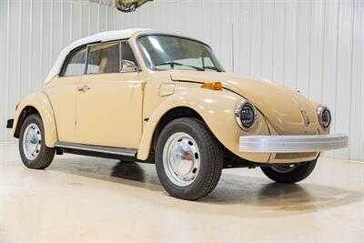 1976 Volkswagen Beetle-Classic  