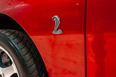 1996 Ford Mustang SVT Cobra   - Photo 14 - Sylvania, OH 43560