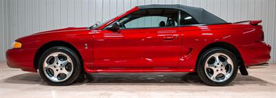 1996 Ford Mustang SVT Cobra   - Photo 2 - Sylvania, OH 43560