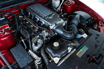 1996 Ford Mustang SVT Cobra   - Photo 24 - Sylvania, OH 43560