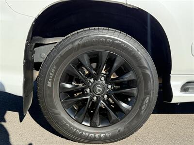 2019 Lexus GX 460   - Photo 59 - Mesa, AZ 85212