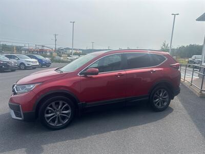 2021 Honda CR-V Sport   - Photo 3 - Clarenville, NL A5A 2C4