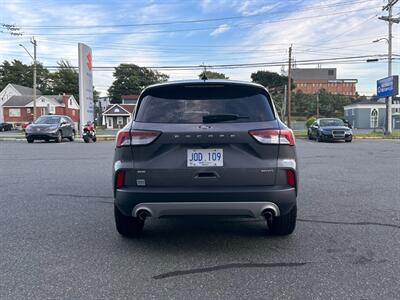 2022 Ford Escape SE   - Photo 6 - St John's, NL A1B 1C2