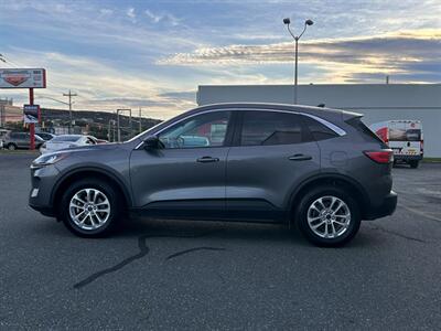 2022 Ford Escape SE   - Photo 8 - St John's, NL A1B 1C2