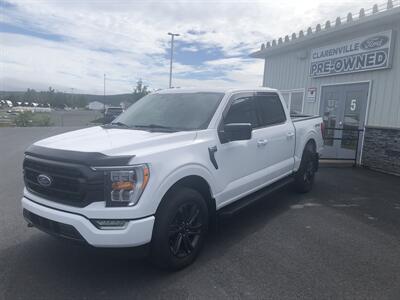 2023 Ford F-150 XL   - Photo 2 - Clarenville, NL A5A 2C4