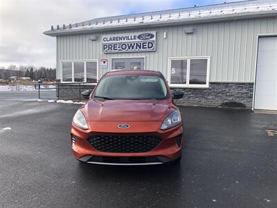 2020 Ford Escape S   - Photo 3 - Clarenville, NL A5A 2C4