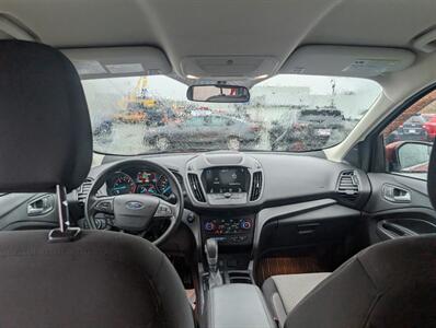 2019 Ford Escape SE - Photo 8 - St John's, NL A1B 1C2