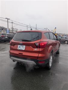 2019 Ford Escape SE - Photo 5 - St John's, NL A1B 1C2