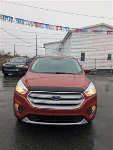 2019 Ford Escape SE - Photo 2 - St John's, NL A1B 1C2