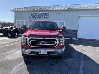 2021 Ford F-150 XLT  XTR Truck