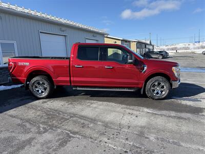 2021 Ford F-150 XLT  XTR - Photo 2 - Clarenville, NL A5A 2C4