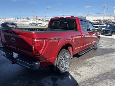 2021 Ford F-150 XLT  XTR - Photo 4 - Clarenville, NL A5A 2C4