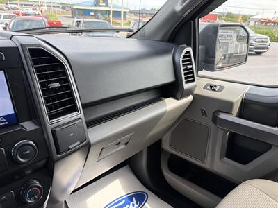 2020 Ford F-150 XLT   - Photo 10 - Clarenville, NL A5A 2C4