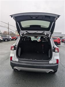 2021 Ford Escape SEL   - Photo 10 - St John's, NL A1B 1C2