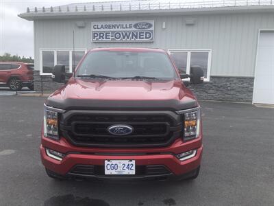 2022 Ford F-150 XLT Truck