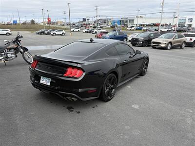 2023 Ford Mustang GT Premium  Night Pony Package - Photo 4 - Clarenville, NL A5A 2C4