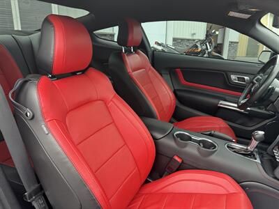 2023 Ford Mustang GT Premium  Night Pony Package - Photo 9 - Clarenville, NL A5A 2C4