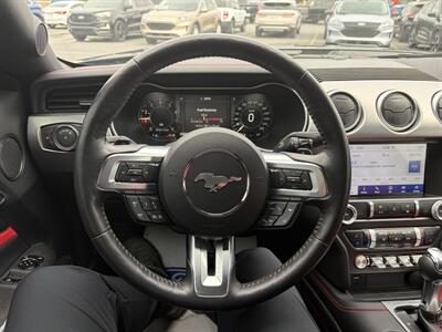 2023 Ford Mustang GT Premium  Night Pony Package - Photo 15 - Clarenville, NL A5A 2C4