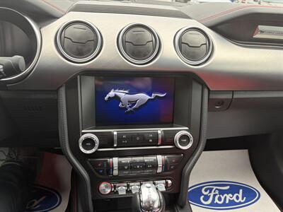 2023 Ford Mustang GT Premium  Night Pony Package - Photo 11 - Clarenville, NL A5A 2C4