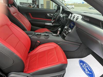 2023 Ford Mustang GT Premium  Night Pony Package - Photo 8 - Clarenville, NL A5A 2C4