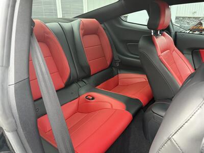 2023 Ford Mustang GT Premium  Night Pony Package - Photo 10 - Clarenville, NL A5A 2C4