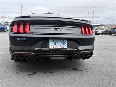 2023 Ford Mustang GT Premium  Night Pony Package - Photo 5 - Clarenville, NL A5A 2C4