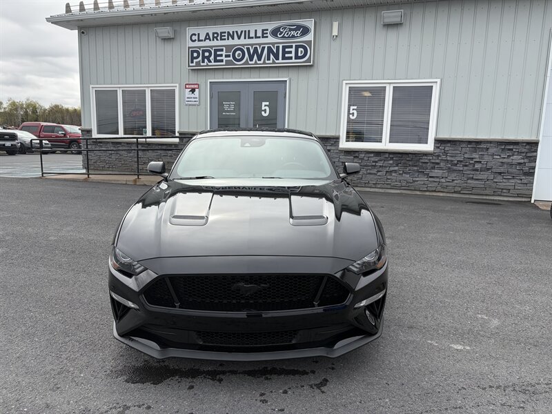 2023 Ford Mustang GT Premium  Night Pony Package - Photo 1 - Clarenville, NL A5A 2C4