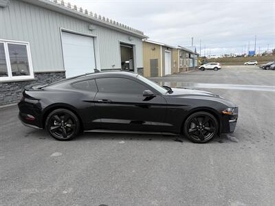 2023 Ford Mustang GT Premium  Night Pony Package - Photo 3 - Clarenville, NL A5A 2C4