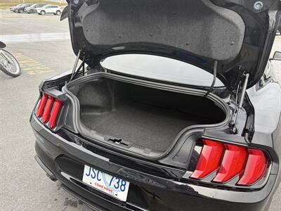 2023 Ford Mustang GT Premium  Night Pony Package - Photo 6 - Clarenville, NL A5A 2C4