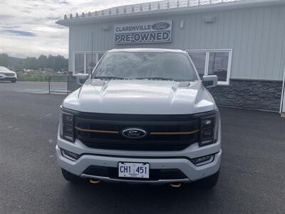 2023 Ford F-150 Tremor Truck