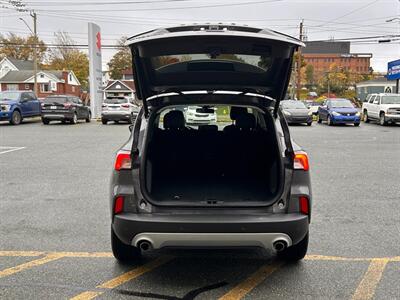 2021 Ford Escape Hybrid Titanium   - Photo 15 - St John's, NL A1B 1C2