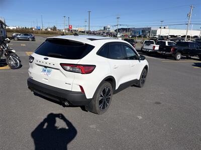 2022 Ford Escape SE - Photo 4 - Clarenville, NL A5A 2C4