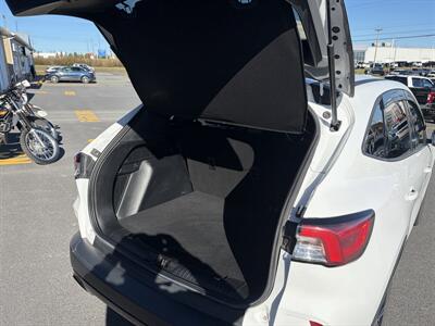 2022 Ford Escape SE - Photo 15 - Clarenville, NL A5A 2C4