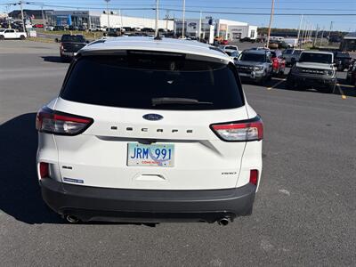 2022 Ford Escape SE - Photo 14 - Clarenville, NL A5A 2C4