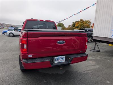 2022 Ford F-150 XL   - Photo 6 - St John's, NL A1B 1C2