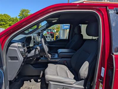 2022 Ford F-150 XL Truck