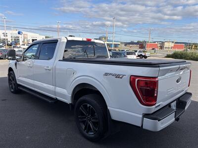 2021 Ford F-150 XL - Photo 4 - Clarenville, NL A5A 2C4