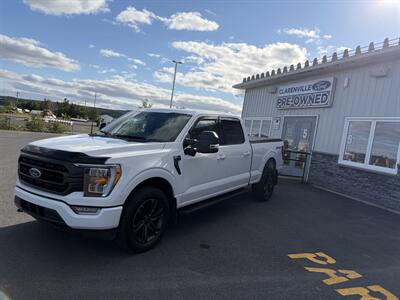 2021 Ford F-150 XL - Photo 2 - Clarenville, NL A5A 2C4