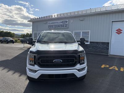2021 Ford F-150 XL Truck