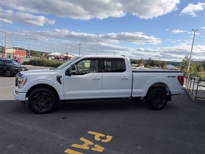2021 Ford F-150 XL - Photo 3 - Clarenville, NL A5A 2C4