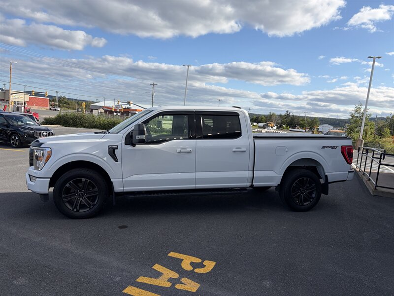 2021 Ford F-150 XL - Photo 3 - Clarenville, NL A5A 2C4