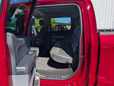 2021 Ford F-150 XL - Photo 10 - St John's, NL A1B 1C2