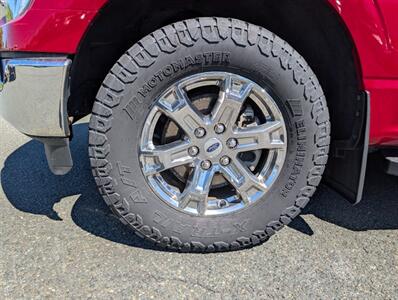 2021 Ford F-150 XL - Photo 8 - St John's, NL A1B 1C2