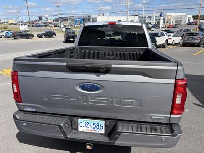 2022 Ford F-150 XLT Sport - Photo 14 - Clarenville, NL A5A 2C4