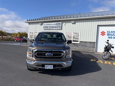 2021 Ford F-150 XLT Truck