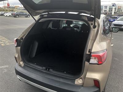 2021 Ford Escape SE   - Photo 14 - Clarenville, NL A5A 2C4