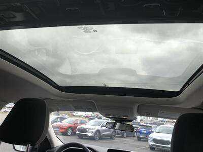 2021 Ford Escape SE   - Photo 19 - Clarenville, NL A5A 2C4