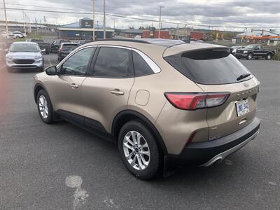 2021 Ford Escape SE   - Photo 3 - Clarenville, NL A5A 2C4